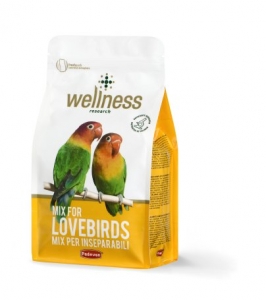 Wellness lovebirds