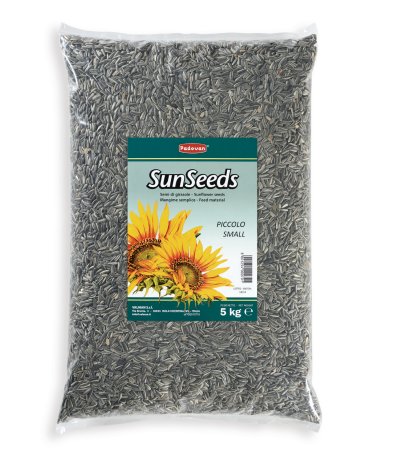 Small sunflower seeds