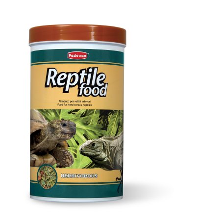 Reptile food