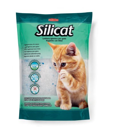 Silicat. Padovan