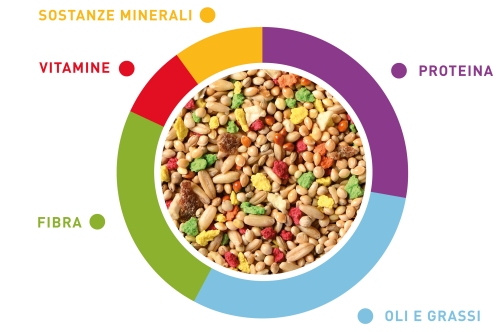 GrandMix cocorite - tenori