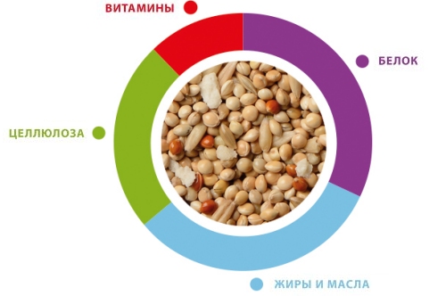 GrandMix cocorite - tenori