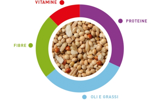 GrandMix cocorite - tenori