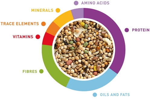 grafico-wellness-esotici-en.jpg