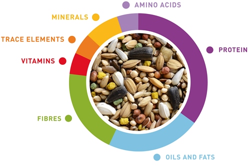 grafico-wellness-inseparabili-en.jpg