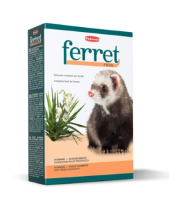 Ferret Food