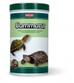 Gammarus