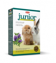 Junior coniglietti
