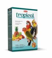 Tropical pâtée