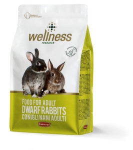 Wellness adult dwarf rabbits