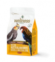 Wellness австралийских средних попугаев 