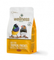 Wellness uccellini tropicali