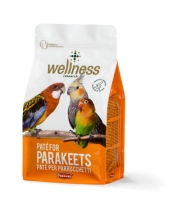 Wellness paté for parakeets