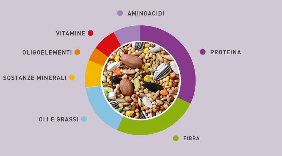 Composizione alimenti