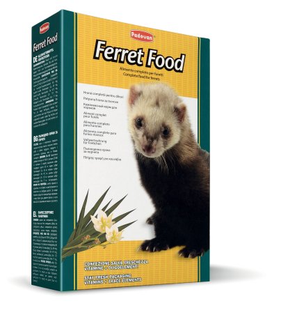 ferret kibble