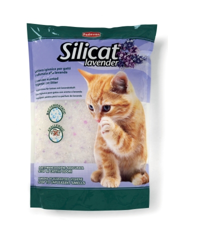 Silicat Lavender