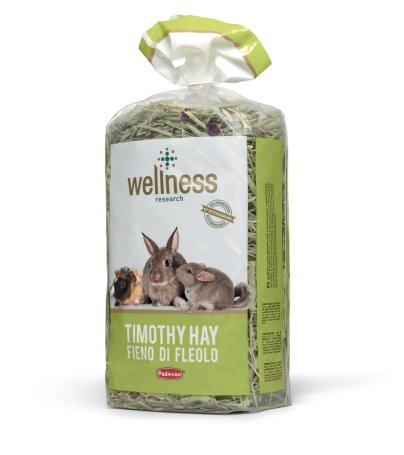 timothy rabbit hay