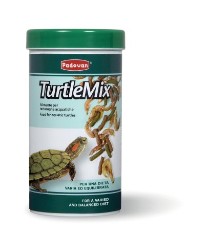 Turtle Mix