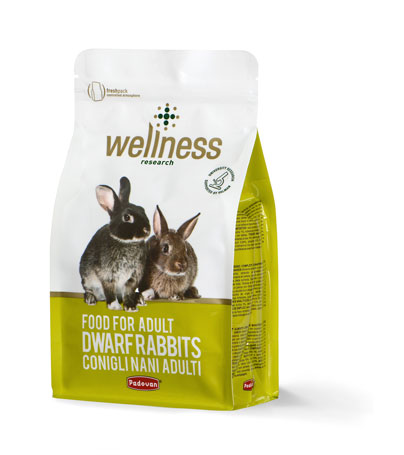 Wellness adult dwarf rabbits
