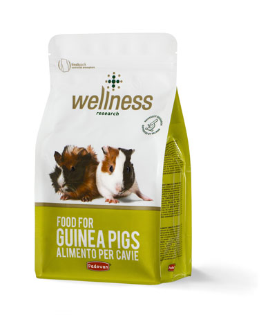 Wellness guinea pigs