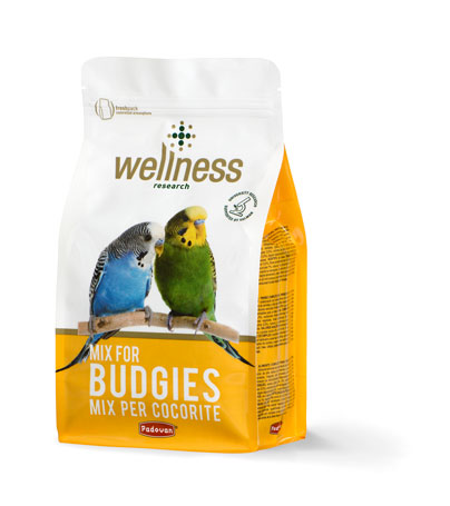 Wellness budgies