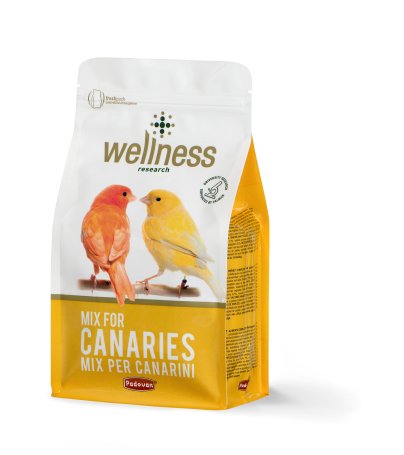 Wellness canarini