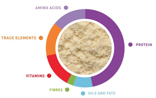 grafico-loryfood-en.jpg