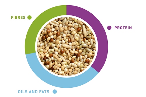 grafico-naturalmix-cocorite-en.jpg