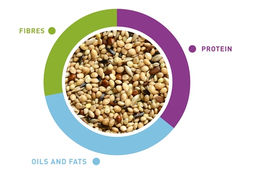 grafico-naturalmix-esotici-en.jpg