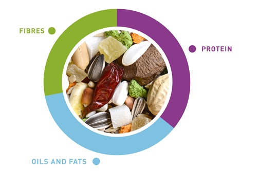 grafico-naturalmix-pappagalli-en.jpg