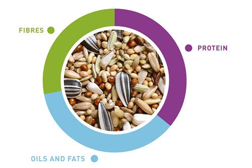 grafico-naturalmix-parrocchetti-en.jpg