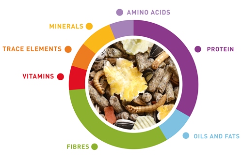 grafico-wellness-criceti-en.jpg